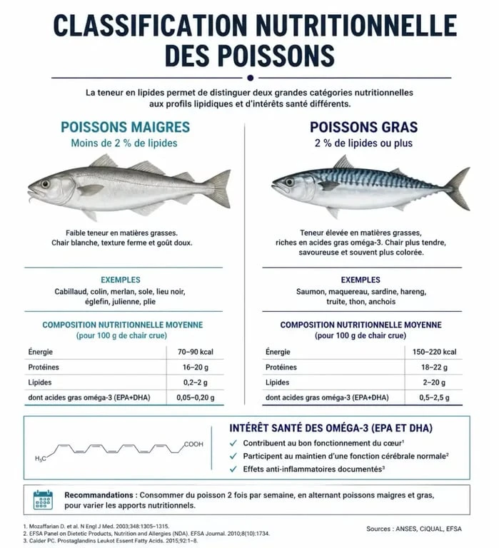 Infographie comparative des poissons maigres et poissons gras pour une alimentation équilibrée